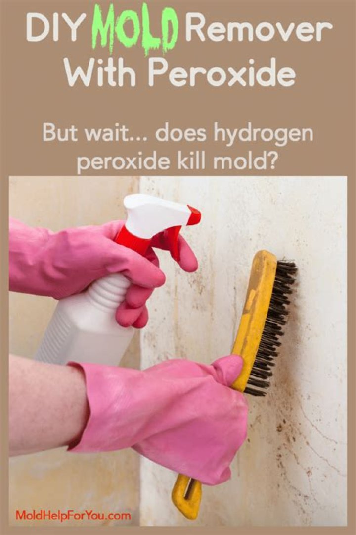 Does 3% peroxide kill mold?