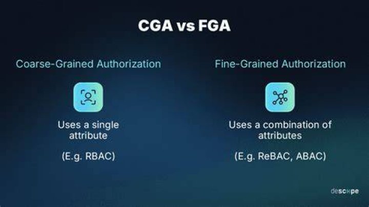 What is coarse grained authorization?