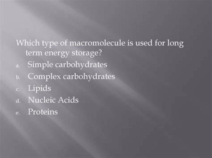 Which macromolecule stores energy?